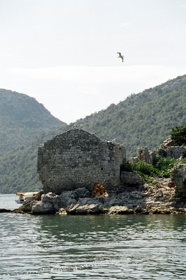 ����. Montenegro (����������) 2006. Montenegro 2006.