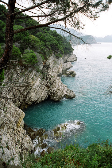 ����. Montenegro (����������) 2006. Montenegro 2006.